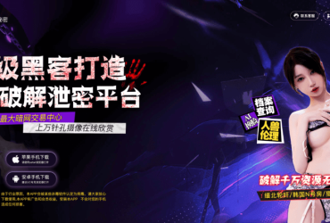 南京瑞合汇信息技术有限公司！空降多少钱一次酒吧